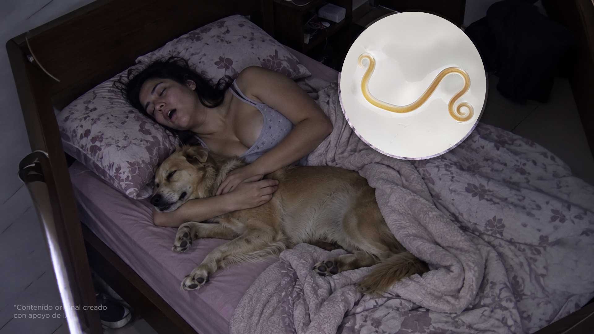 ¿Es peligroso dormir con tu perro o tu gato? Lo que sí te pueden contagiar
