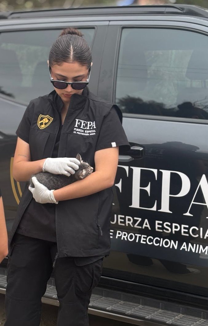 Karla Gastélum en labores de rescate animal