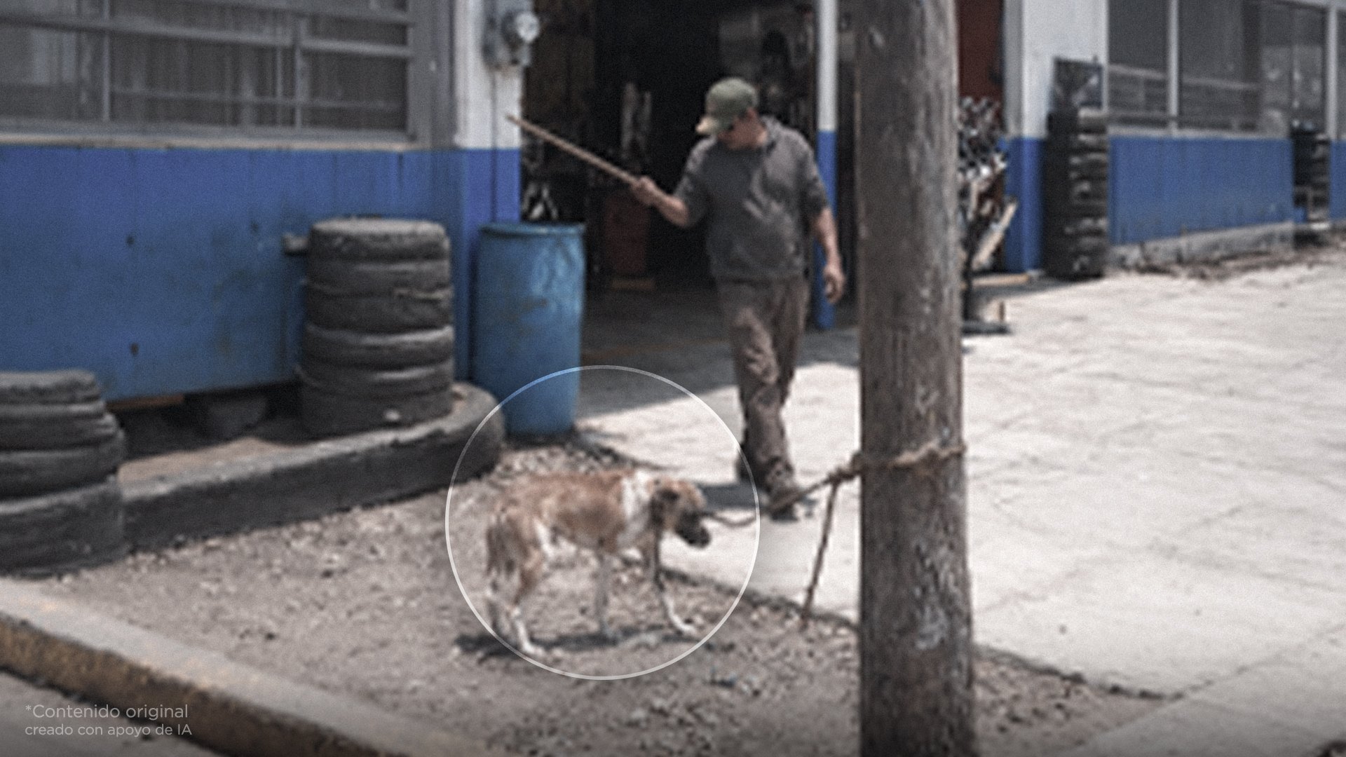 Proponen 20 años de cárcel a quien maltrate a un perrito de la calle. ¿Estás a favor?