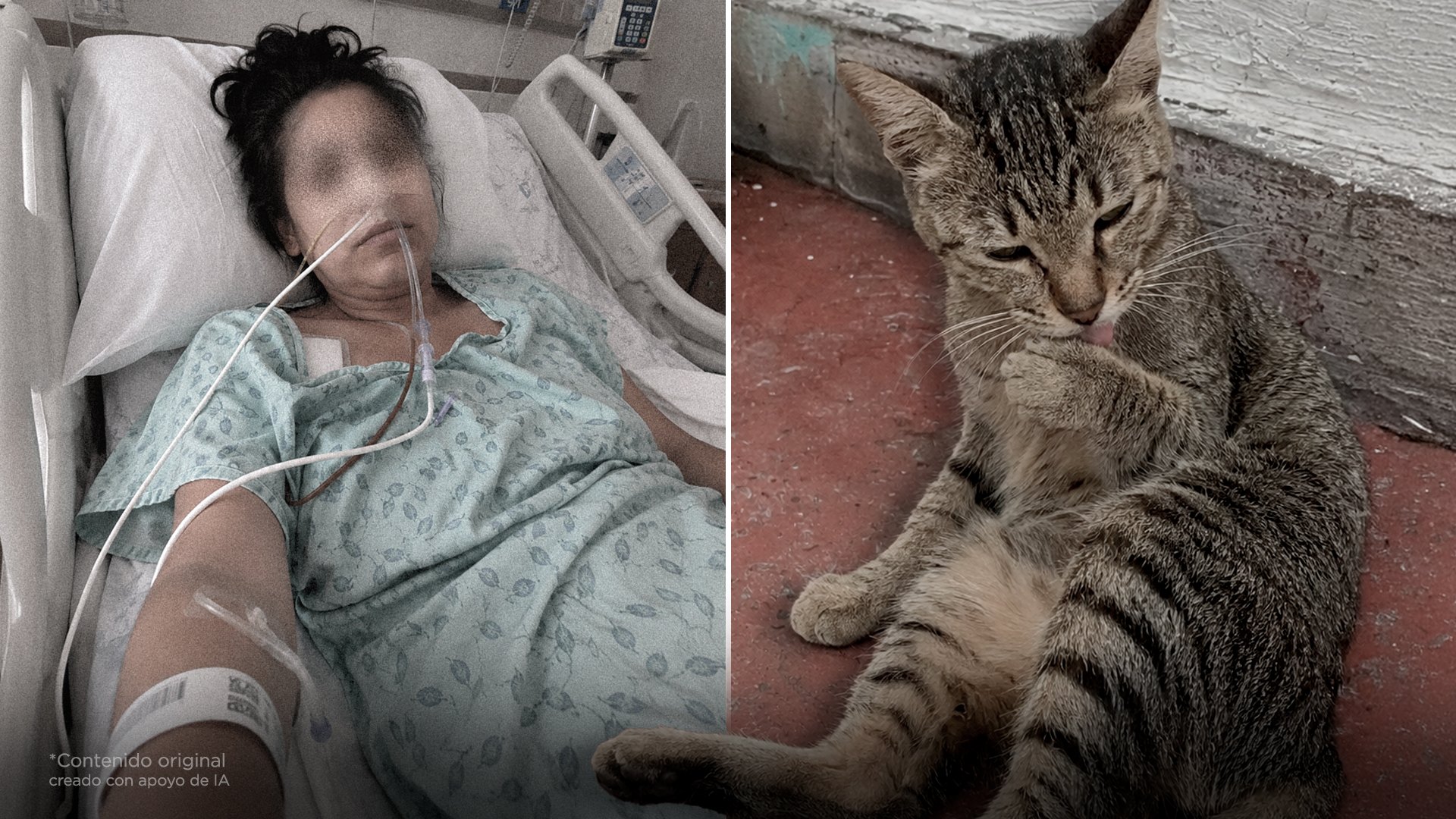 Una familia se enfermaba una y otra vez y nadie encontraba la causa… hasta que analizaron a su gato